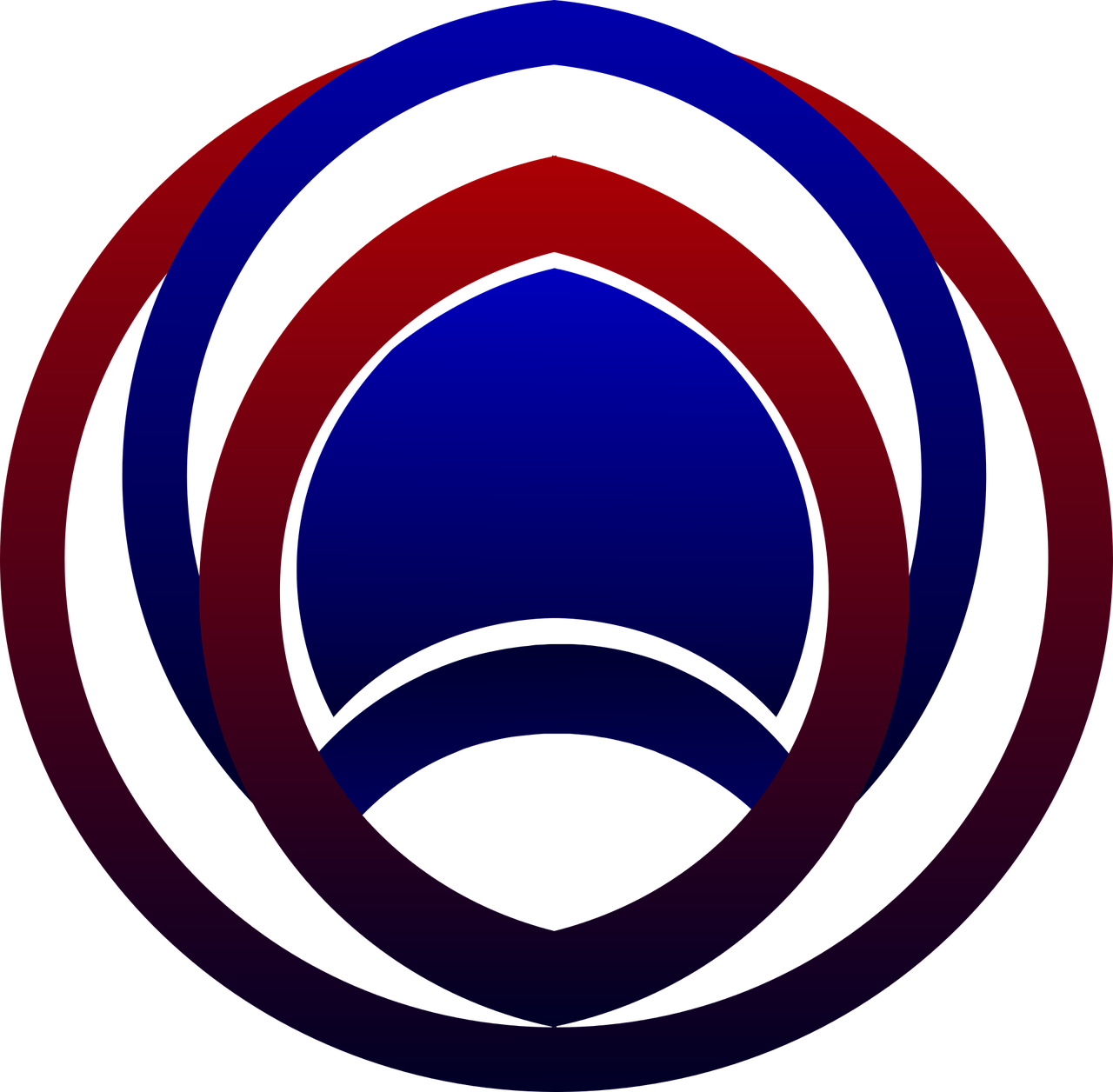 Description for Partner 6
